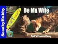 CatTunes #5 - - Be My Wife