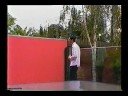 The-Adventures-of-Ai