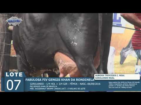 LOTE 07 - FABULOSA FIV GENGIS -