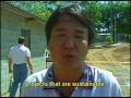 Tilapia Projects