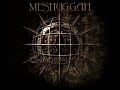 Meshuggah - The Mouth Licking What You\