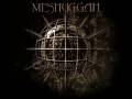 Meshuggah - The Mouth Licking What You've Bled