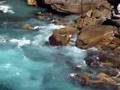 Watsons Bay to Bondi, Sydney, Australia