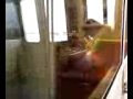 WMATA Metro Rail Operator Texting on the Job