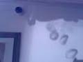 re-dolphin-play-bubble-rings.html