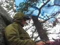 QRP to the Field 2009 with Rooster & Peanut
