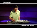 Joachim Wolf and the Yamaha EZ-200