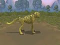 A cheetah