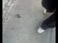 yasuri yamilleth 1