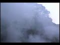 duramax diesel smoke show