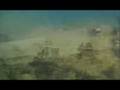  - MovieZen Video