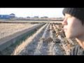 【PV】陽と背中 by YAMANE ,Paranel ,EeMu