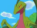 Pokemon Mystery Dungeon - Grovyle Sacrifice music