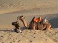 videos de india 2008