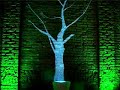 videoinstallation Universit� Statale Milano salone 2008