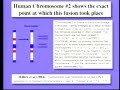 Genome sequencing leaves Creationists unable to respond