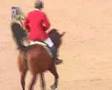 XXL-info. Reitsport Springen