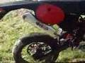 My Fantic 50 + Moto Amici