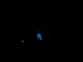 lily allen sings smile at coachella 2007