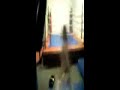karate mirim nelsom need