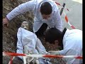 La Phylogénése du Carabin !