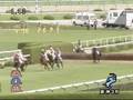 2008年9月27日 阪神3R 障害未勝利 ハッピーヘイロー