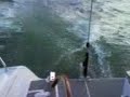videos voile