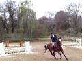 videos de Thomas Horse Show-For Sale