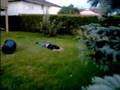 videos de High Jump Test
