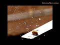 One kernel of popcorn busting open and splashing oil. Shot @7000 FPS Please Don't forget we read comments, appreciate ratings, welcome subscribers, and encourage sharing of our channel.