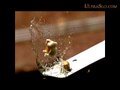 Super Slow Motion Popcorn - cool, popcorn, slow motion