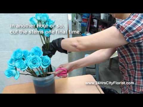 how to dye roses blue