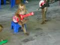 Thai monkey guitarist