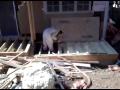 Green Foam Guy - Ground Spray