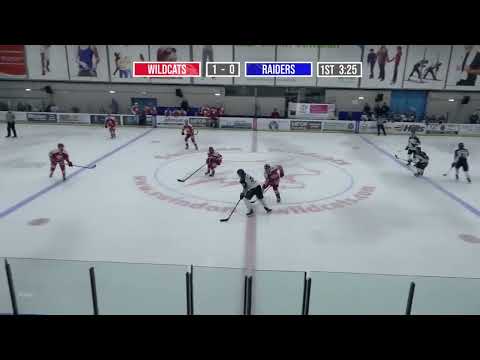 Swindon Wildcats V London Raiders March 22 Oli Endicott Age 17 (UK 2nd Tier Senior Hockey)