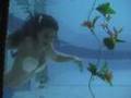 'MERMAID' performer (MeduSirena) Swimming at the Wreck Bar.
