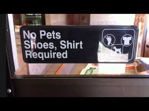 What Too Send Too GrammarPolice