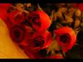 videos de Rosa di Turi - Radiodervish