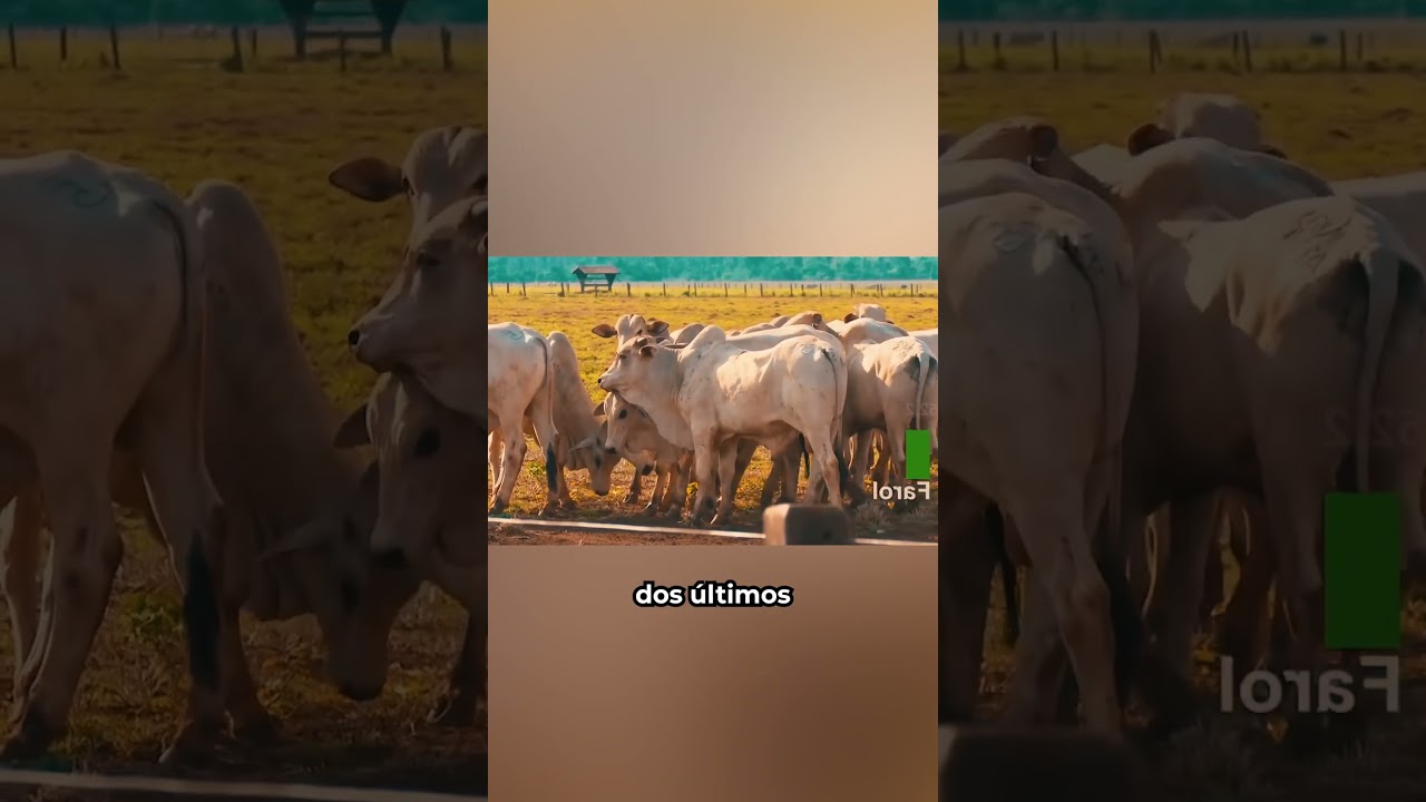 Esse Foi O Pecuarista Mais Importante Do Brasil