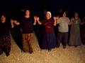 Bozlar