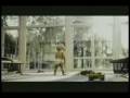 ADT COMMERCIAL