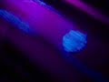 Alessandro Lupi Densità Fluorescenti
