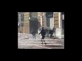 Sin Dios - No queremos paz sino que la victoria, Solidaridad Sin Dios - No queremos paz sino que la victoria, Solidaridad