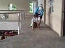 Playing horsey with Emily and Bailey