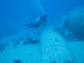 Sonesta Plane Wreck Dive, Aruba  (Part 1)