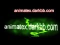 Animator X website introduction