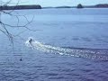 Kyosho Blue Streak on Kallavesi