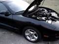 videos de Cammed 01 Trans Am