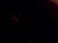 Nonsense Squad - Beeds Jumps in basin naked.-4degrees 12am