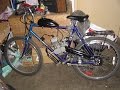 80cc motor bicycle
